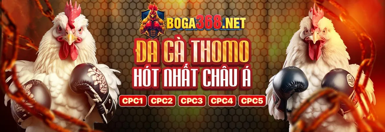 Đá Gà Trực Tuyến Hấp Dẫn tại new8 Trang Chủ Chính Thức