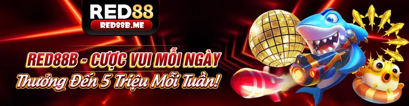 Ứng dụng new8 trang chủ chính thức trên điện thoại
